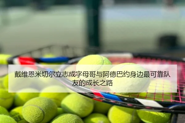 戴维恩米切尔立志成字母哥与阿德巴约身边最可靠队友的成长之路